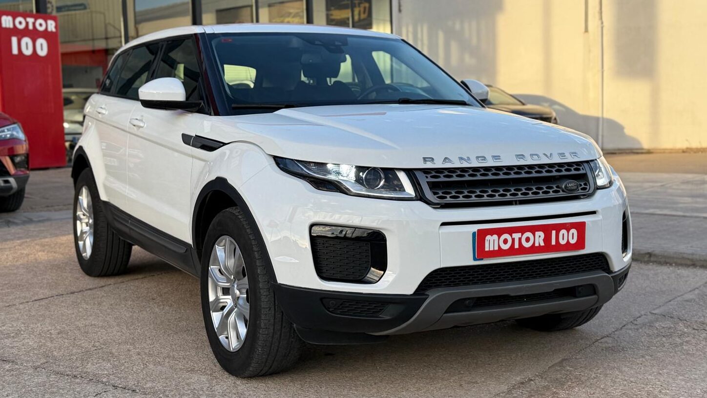 WhatsApp Image 2025-11-12 at 17.30.15 (1)